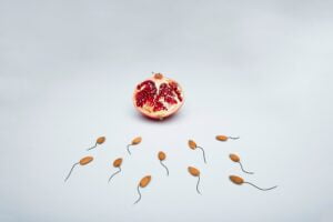 Sperma onderzoeken