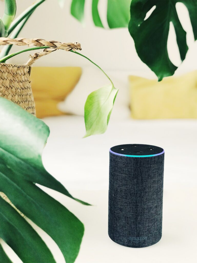 amazon echo-speaker
